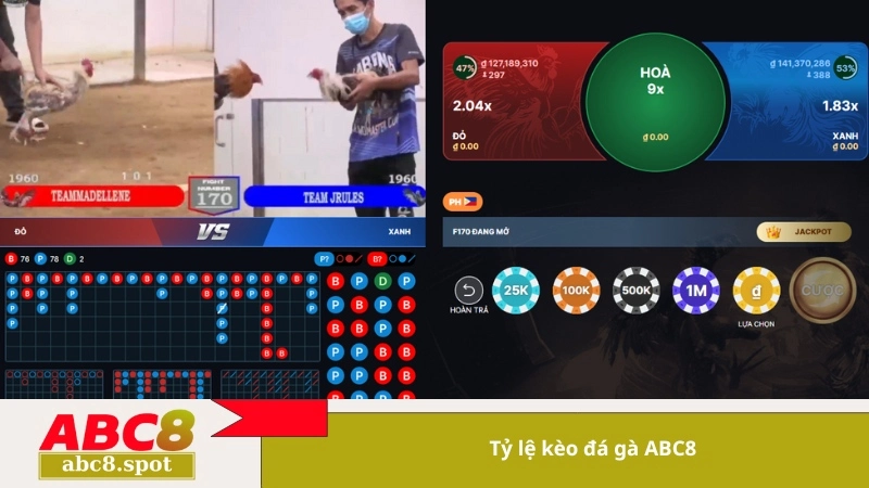 Tỷ lệ kèo đá gà ABC8